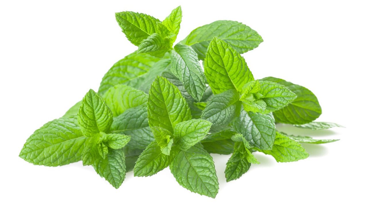 Zitronenbalsamextrakt in Tonerin